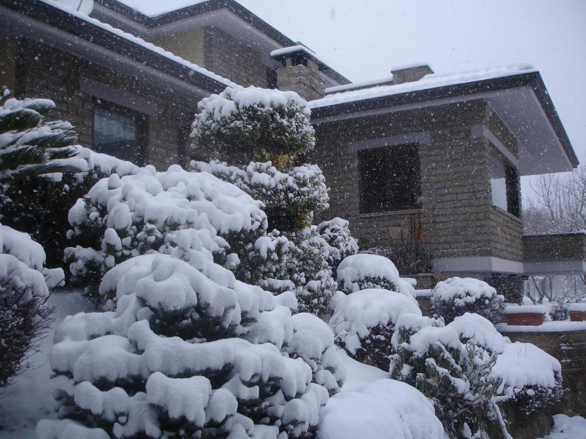 B&B Le Palme Bassano Romano エクステリア 写真